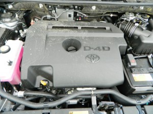 DSCN3549